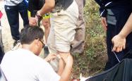 曼联重伤倒地，泰山全队围拢祈祷，场面感人的简单介绍