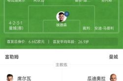 关于哈兰德与德布劳内激战正酣，补时阶段一粒世界波决定胜负！的信息