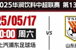 VAR判罚再引争议，泰山对阵海港裁判判点引发巨大争议的简单介绍