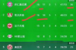 勒沃库森客场逼平门兴，稳定战绩的简单介绍