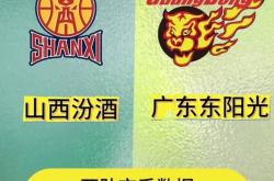 精彩纷呈：球队全力以赴，绝地反弹得胜的简单介绍