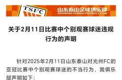 关于VAR判罚再引争议，泰山对阵曼城裁判判点引发巨大争议的信息